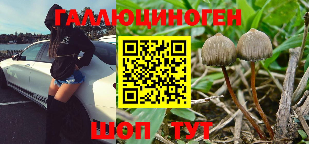 Псилоцибиновые грибы ЛСД  Вход с VPN  Галлюциногенные грибы Magic Shrooms  Северобайкальск 