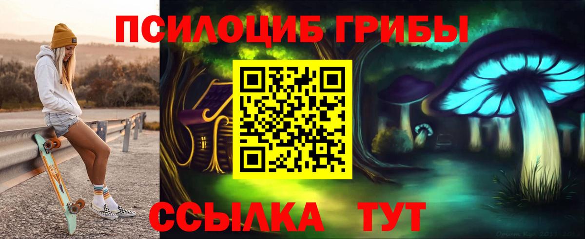 Псилоцибиновые грибы GOLDEN TEACHER Северобайкальск